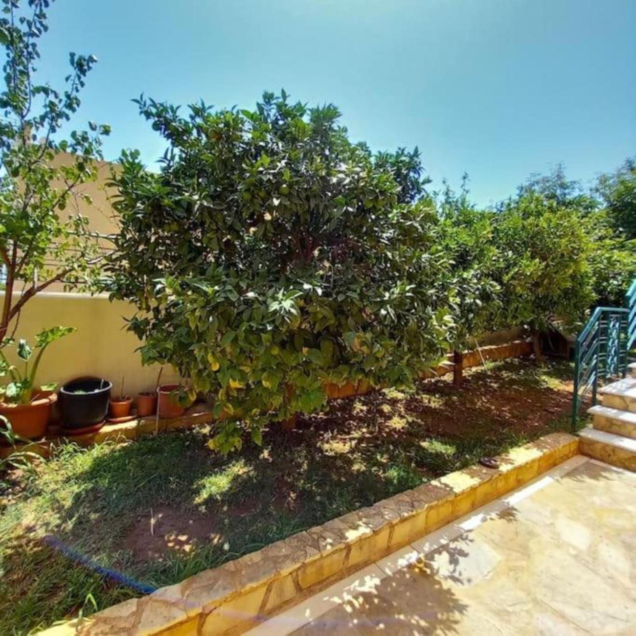 Anatoli In Apartment Nea Makri
